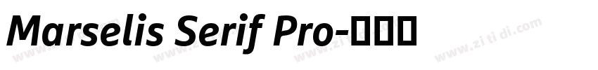 Marselis Serif Pro字体转换
